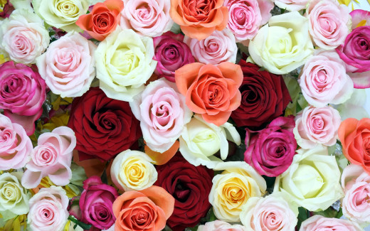 1075440 (a): :2560x1600